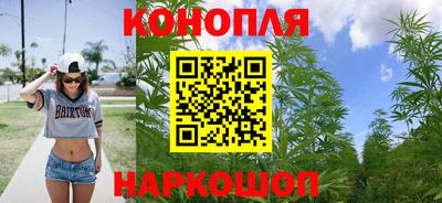 соль ск Славгород