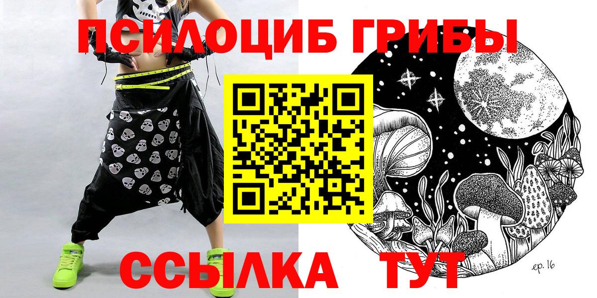 Псилоцибиновые грибы Cubensis  Вход с VPN  Новочеркасск 