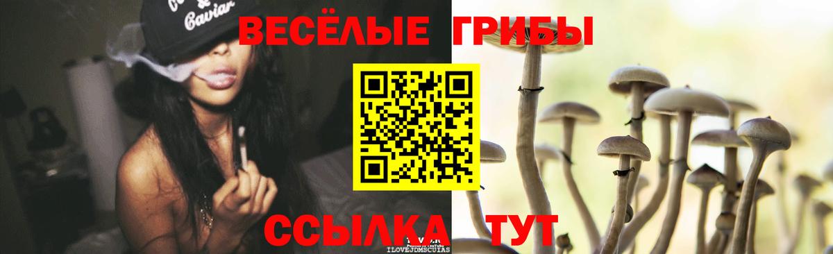Галлюциногенные грибы Cubensis Новочеркасск